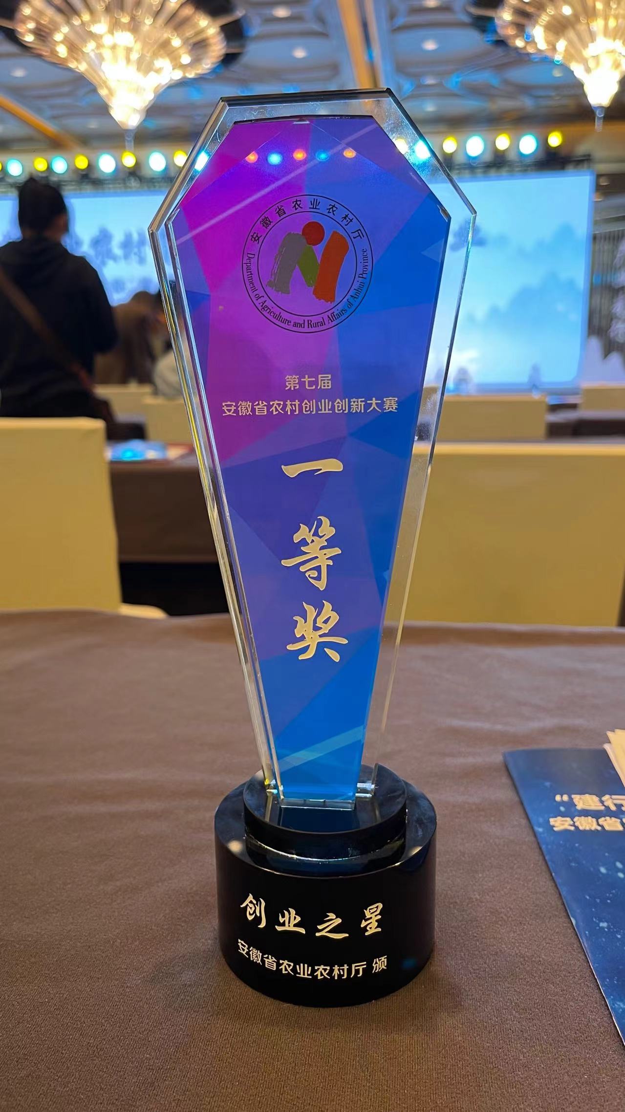 我公司斩获第七届安徽省农村双创大赛一等奖