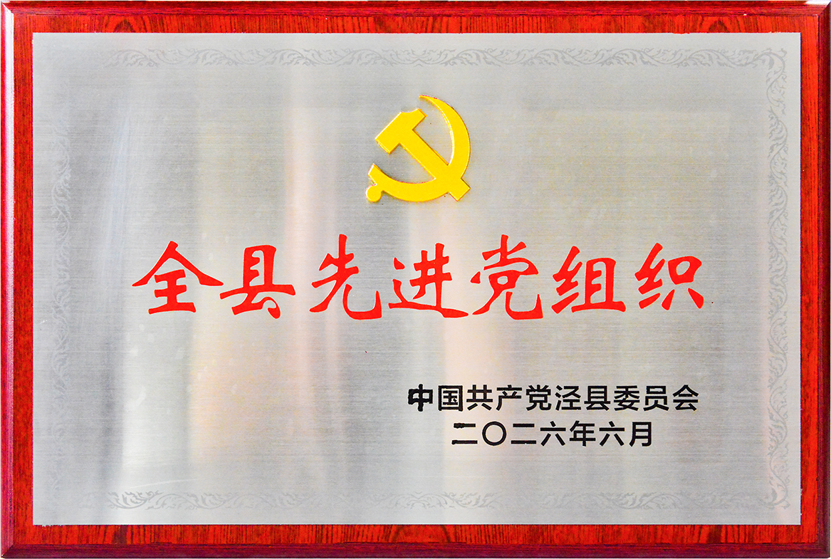 我公司党支部被授予“全县先进党组织”荣誉称号